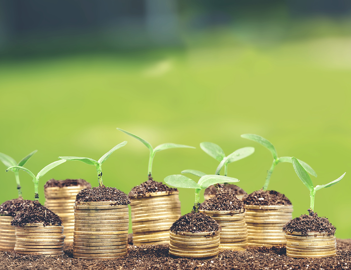 How Can SahiBandhu Gold Loan Help Farmers In The Rabi Season?