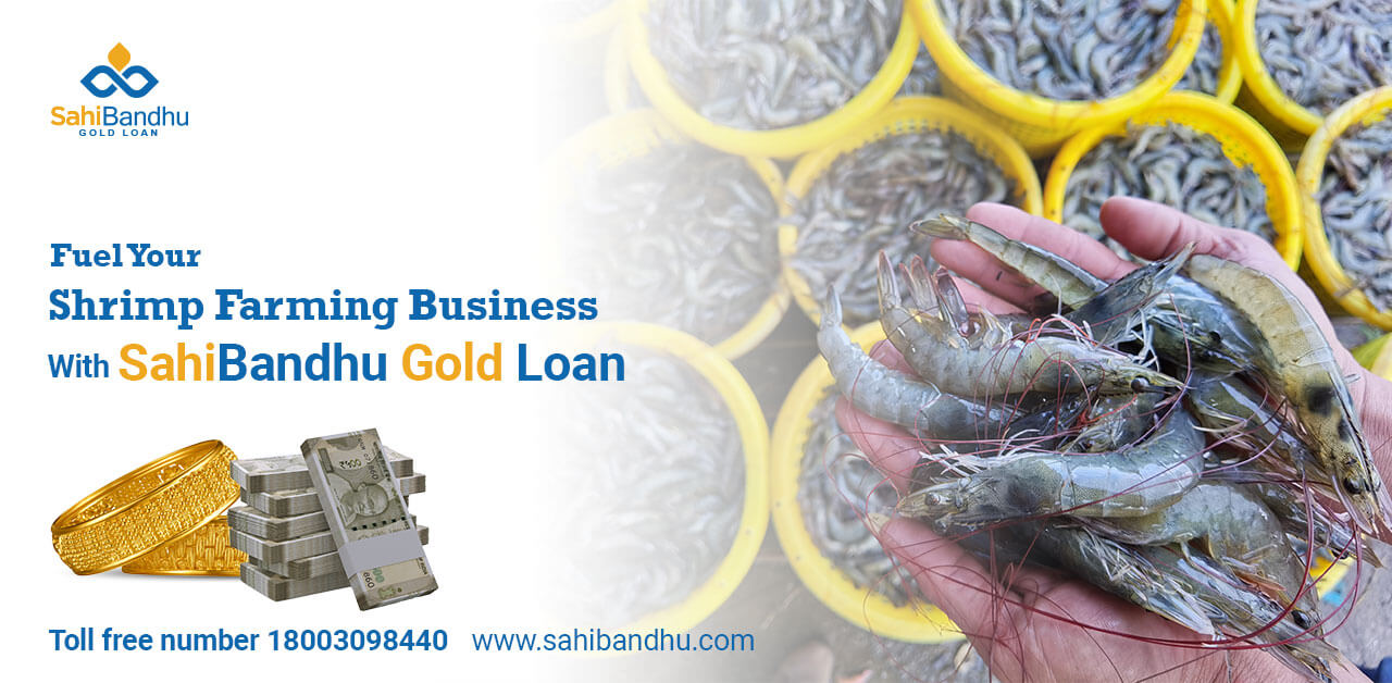 Fuel Your Shrimp Farming Business With Manipal Fintech Gold Loan